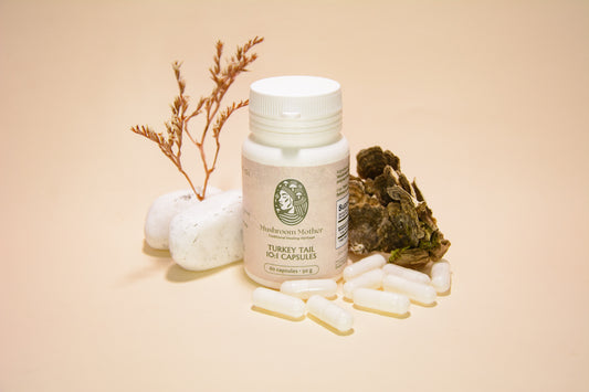 Turkey Tail Extract 10:1 Capsules 60