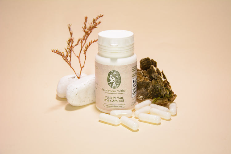 Turkey Tail Extract 10:1 Capsules 60
