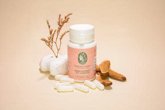 Reishi Extract 10:1 Capsules 60