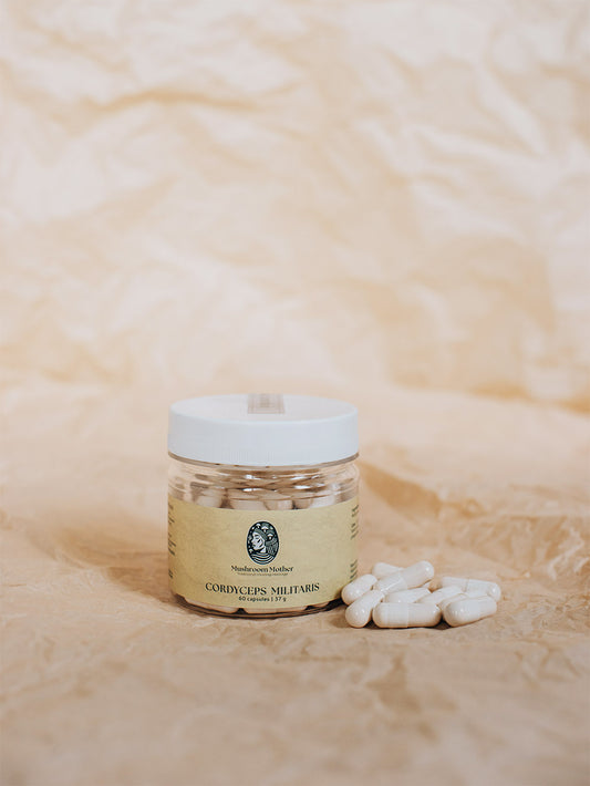 Cordyceps Militaris Capsules 60