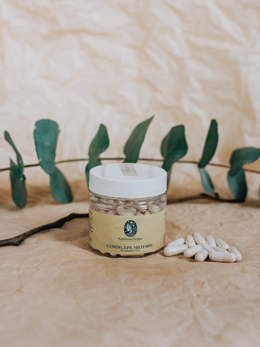 Cordyceps Militaris Capsules 60