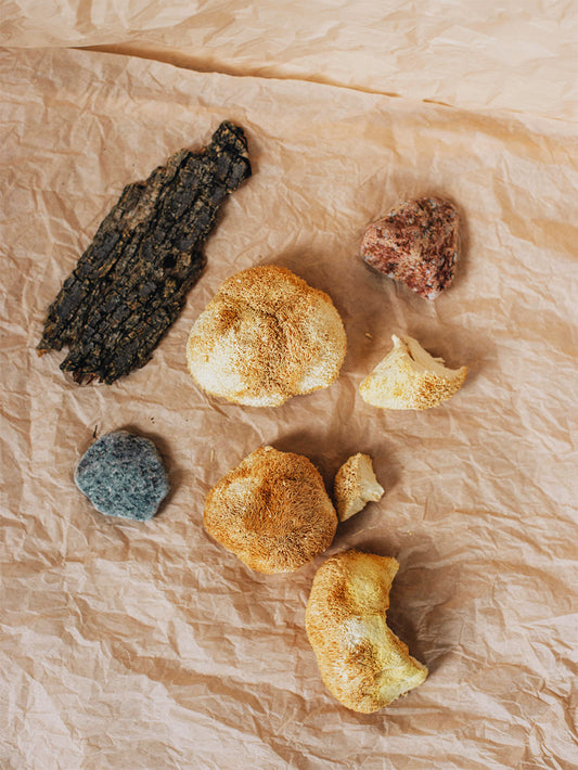 Lion's Mane Whole Mushrooms 50 g