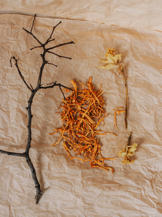 Cordyceps Militaris 50 g