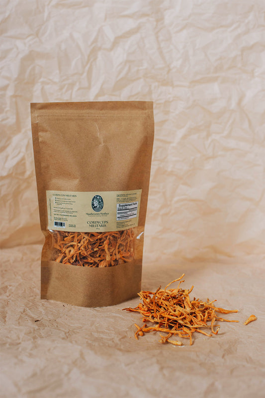 Cordyceps Militaris 50 g